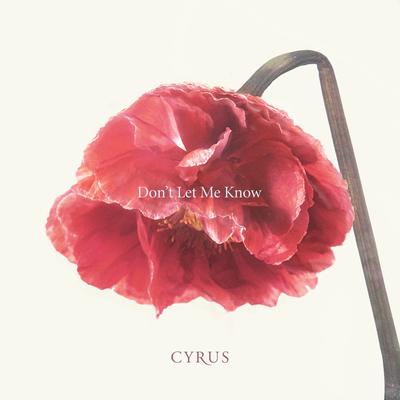 Don't Let Me Know's cover