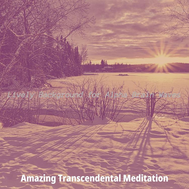 Amazing Transcendental Meditation's avatar image