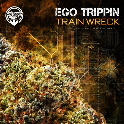 Thrill Seekers By Ego Trippin's cover