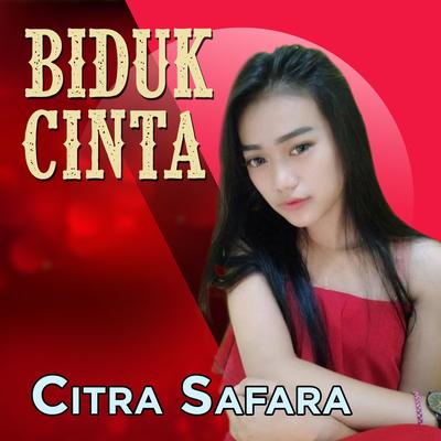 Biduk Cinta's cover