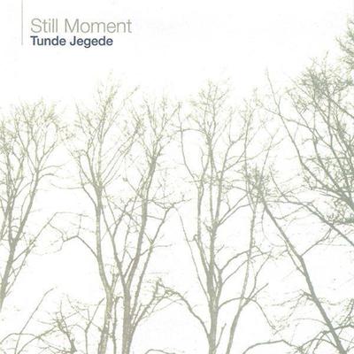 Still Moment By Tunde Jegede's cover