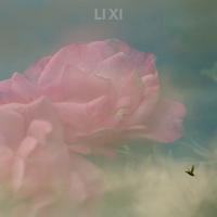 LI XI's avatar cover