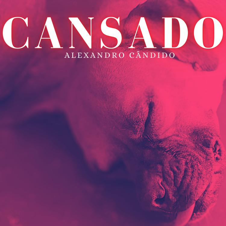 Alexandro Candido's avatar image