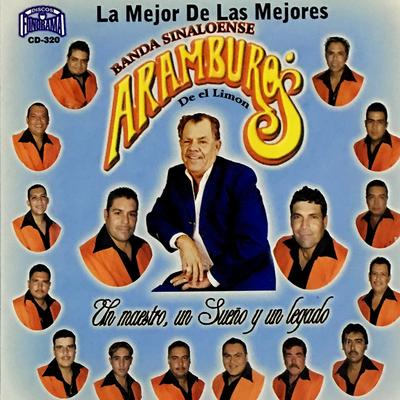 Banda Sinaloense Aramburos's cover