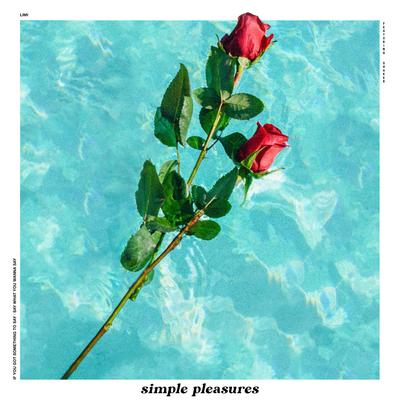 Simple Pleasures By Limi, Shaker's cover