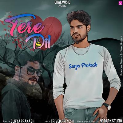 Tere Dil Se's cover