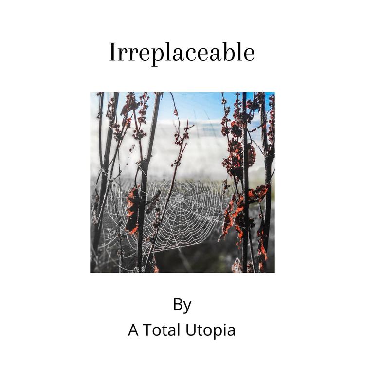 A Total Utopia's avatar image