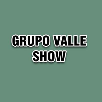 Necesito Verte By Grupo Valle show's cover