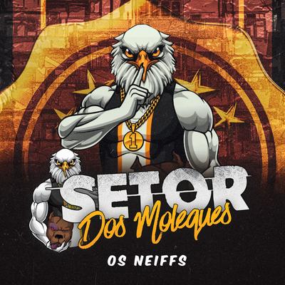 Setor dos Moleques's cover