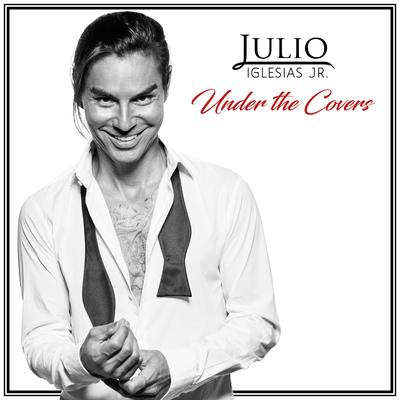Stevie Wonder Medley (Overjoyed / I Just Called to Say I Love You / Isn't She Lovely) By Julio Iglesias Jr, Brian McKnight's cover