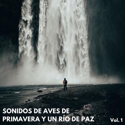 Alma Curada Con El Río By Sonidos y susurros de la naturaleza, Aves y Ranas Radio 1, Masajes Spas's cover