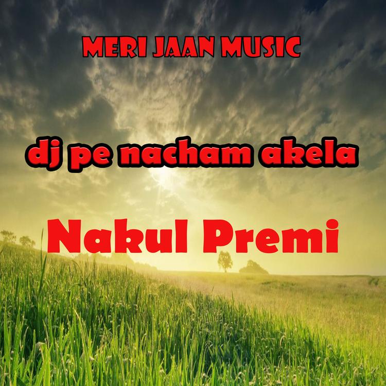 Nakul Premi's avatar image