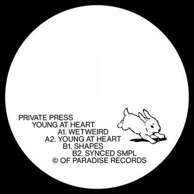 Synced-SMPL By Private Press's cover