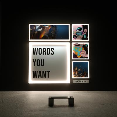 Words You Want (feat. SOI)'s cover