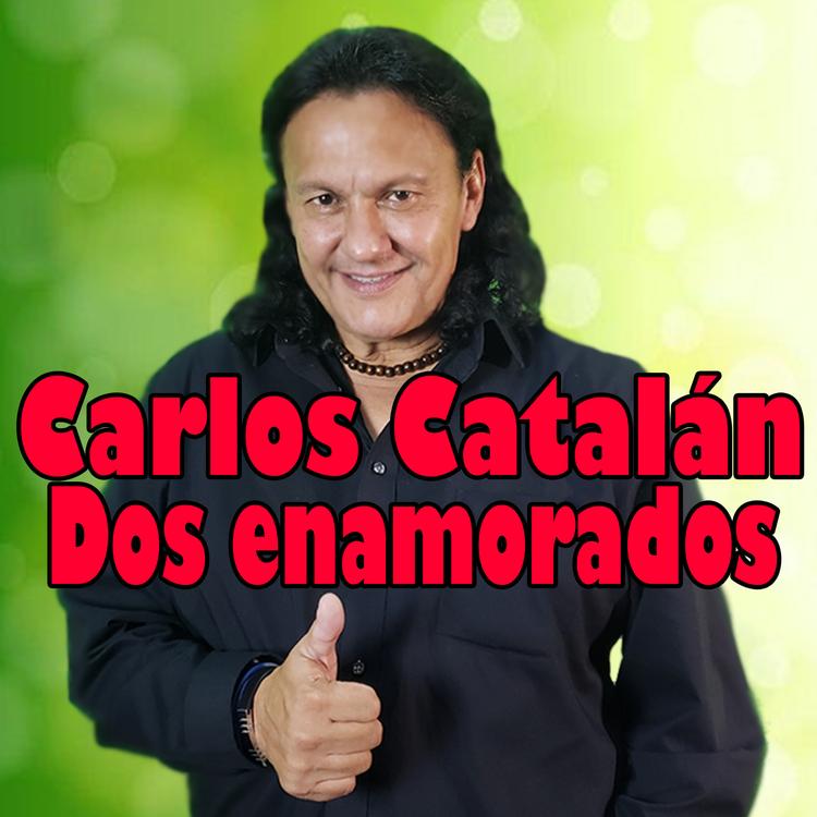 carlos catalan's avatar image