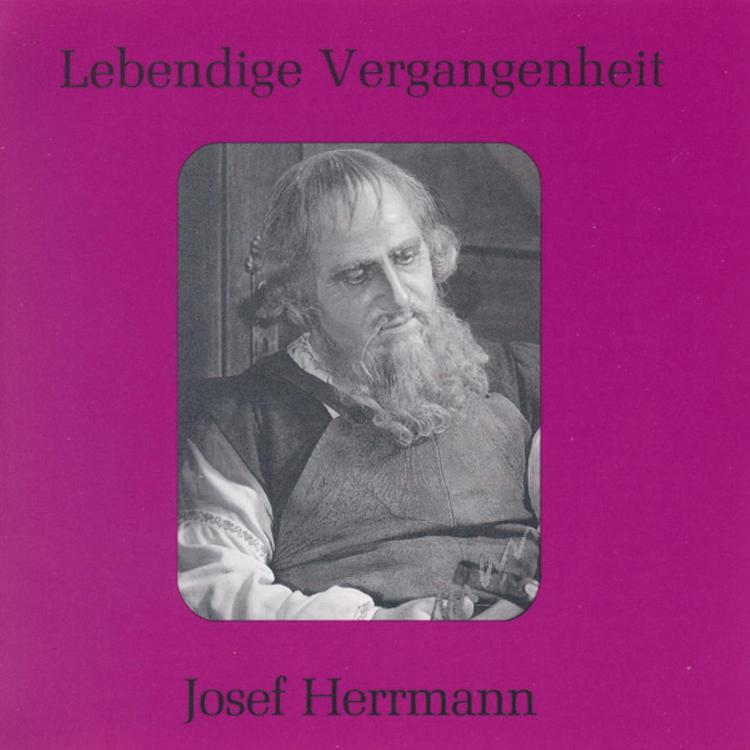 Josef Herrmann's avatar image