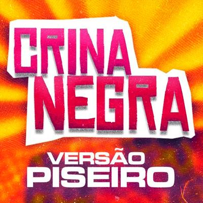 Crina Negra By DJ Felipe Alves's cover