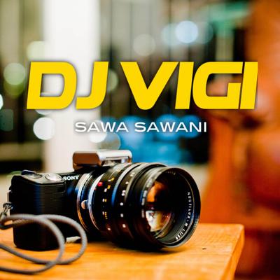 Dj vigi's cover