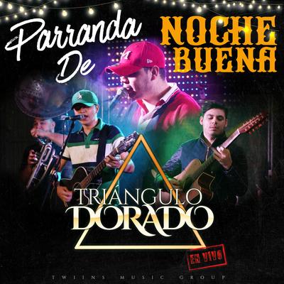 Parranda de Noche Buena (En Vivo)'s cover