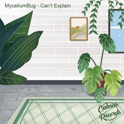 Can't Explain By MyceliumBug, Calmas Records's cover