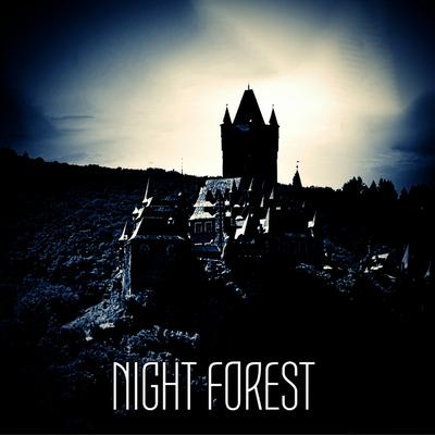 Night Forest By AckorensenD's cover