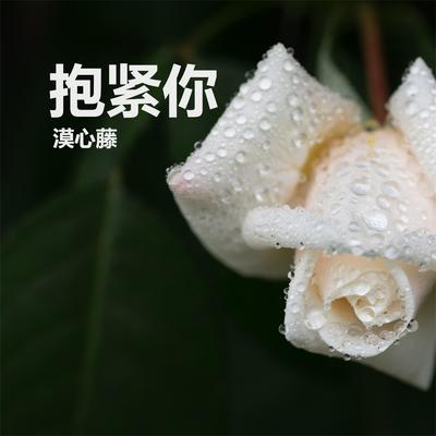 你说你累了's cover