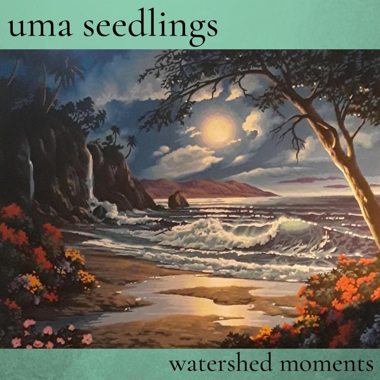 Uma Seedlings's avatar image