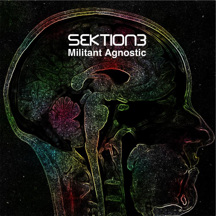 Sektion3's avatar image