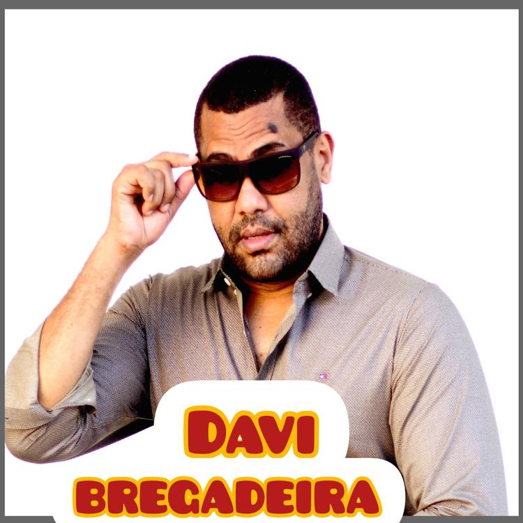 Davi Bregadeira's avatar image