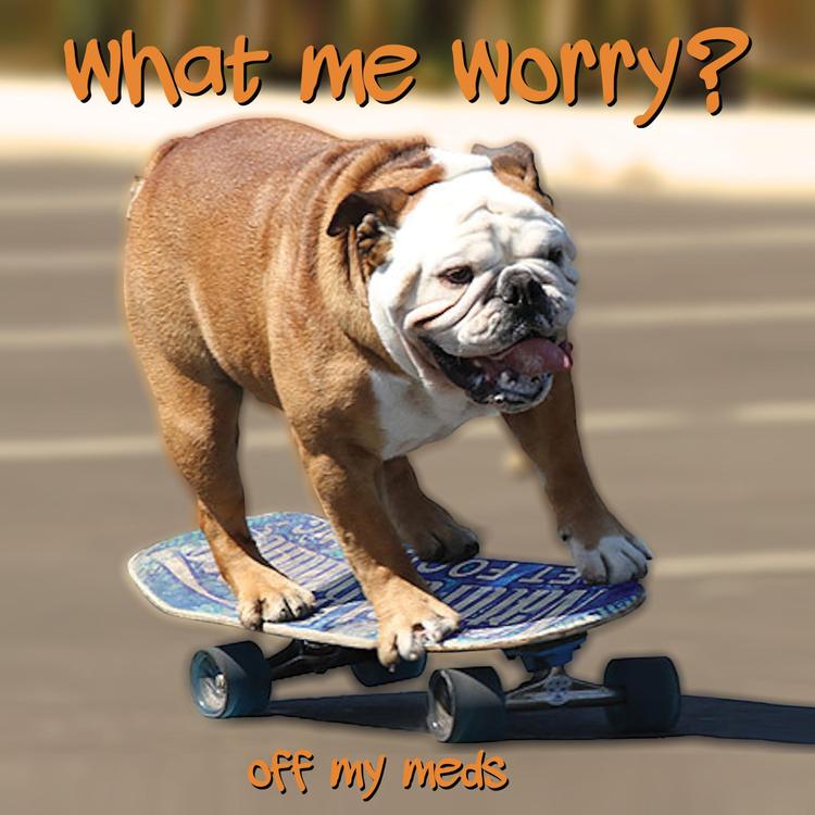 What Me Worry?'s avatar image