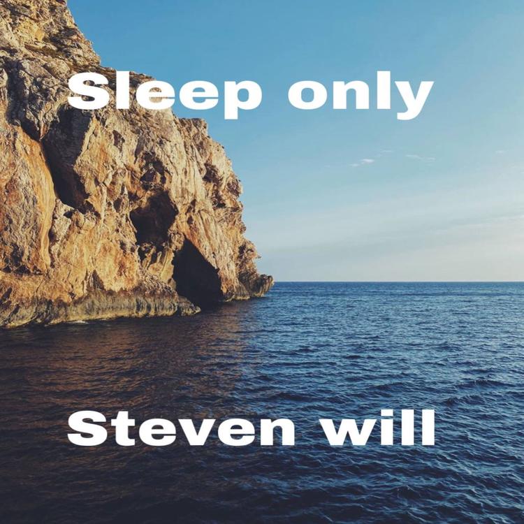 steven will's avatar image