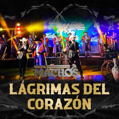 Lágrimas Del Corazón's cover