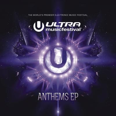 UMF (Ultra Music Festival Anthem) By Avicii's cover