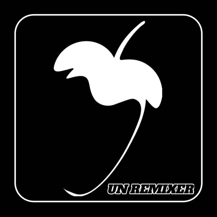 UN REMIXER's avatar image