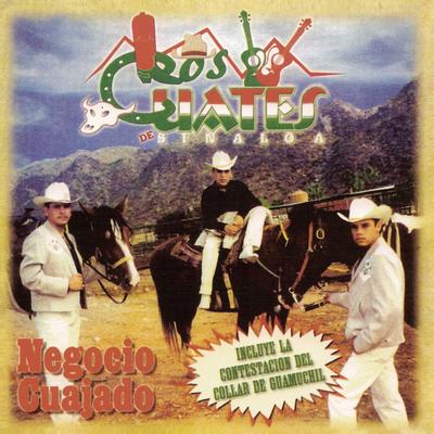 Negocio Cuajado (Album Version)'s cover