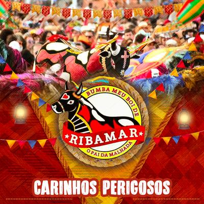 Carinhos Perigosos's cover