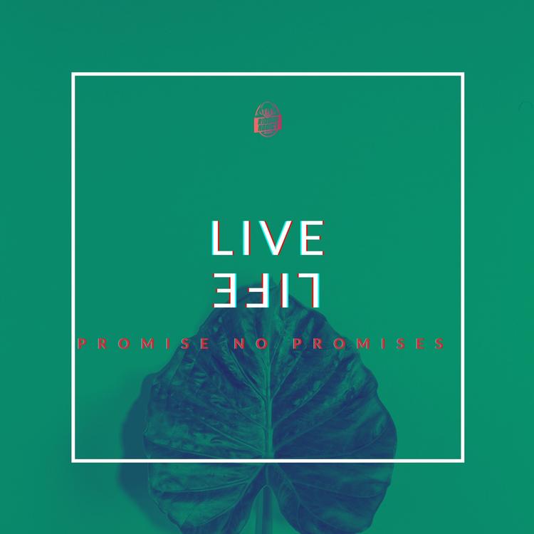 Promise No Promises's avatar image