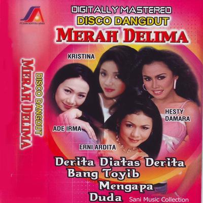 Disco Dangdut Merah Delima's cover