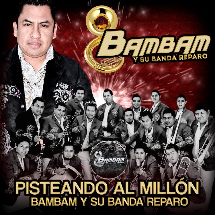 Bam Bam y su Banda Reparo's avatar image