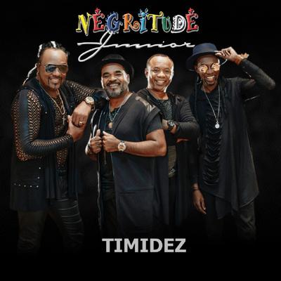 Timidez (Ao Vivo) By Negritude Junior's cover