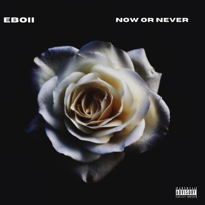 NOW OR NEVER's cover