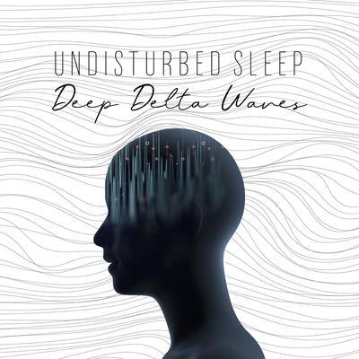 Undisturbed Sleep's cover