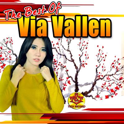 The Best of Via Vallen's cover