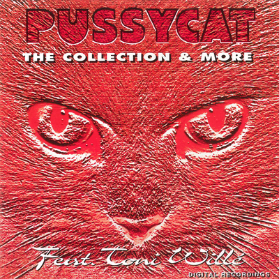 My Broken Souvenir By Pussycat feat. Toni Wille's cover