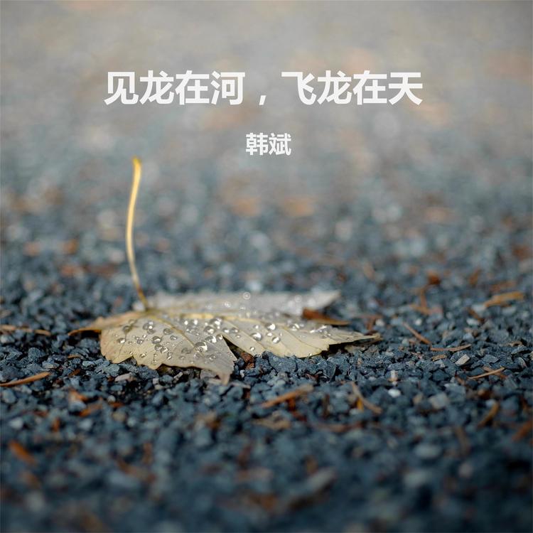 韩斌's avatar image