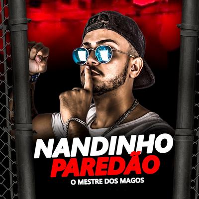 Hoje hoje só vai da Ela By Nandinho Paredão's cover