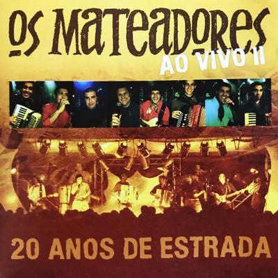 20 Anos de Estrada Ao Vivo, Vol. 2's cover