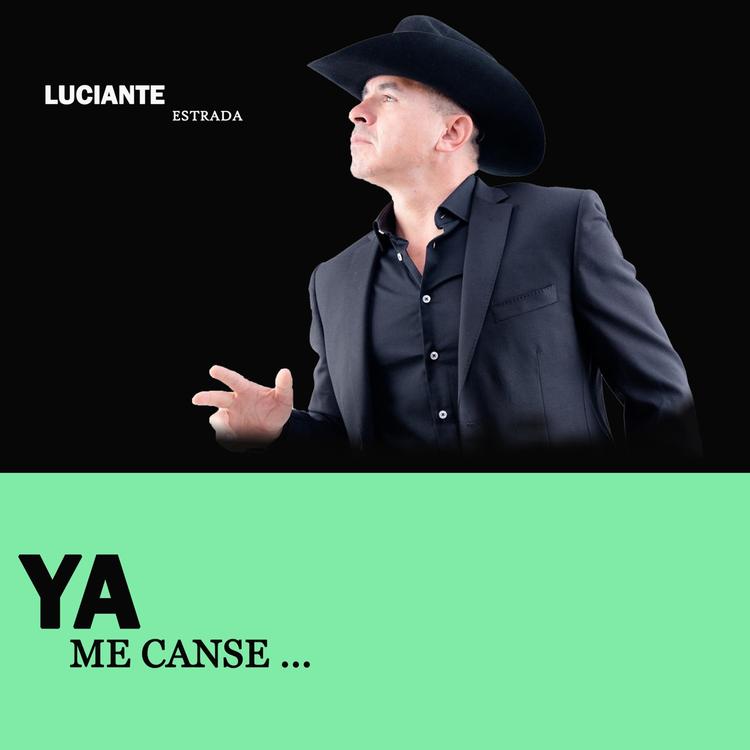 Luciante Estradaa's avatar image