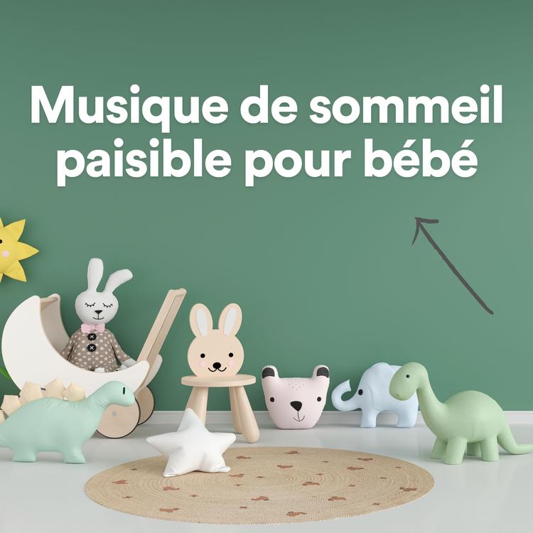 La Musique De Bébé's avatar image