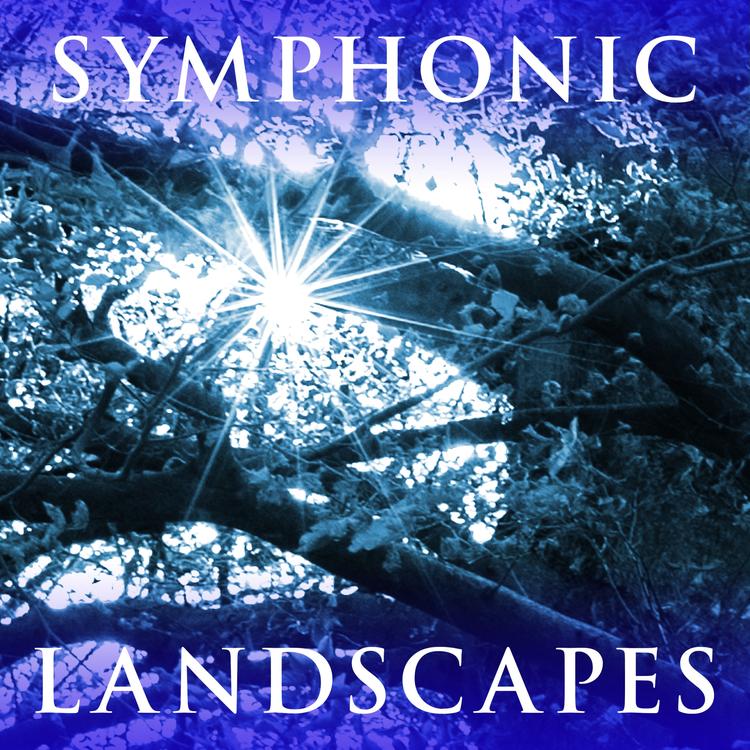 Sonoton Film Orchestra's avatar image